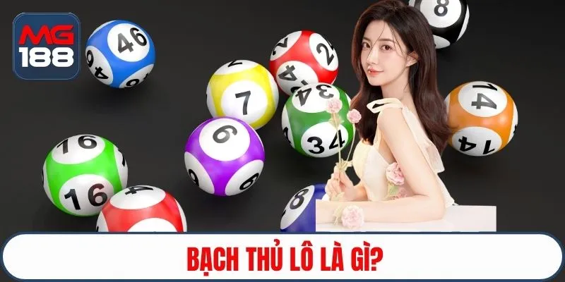 Bạch thủ lô là gì?