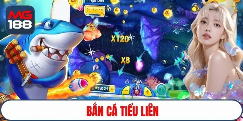 ban-ca-tieu-lien-anh-dai-dien