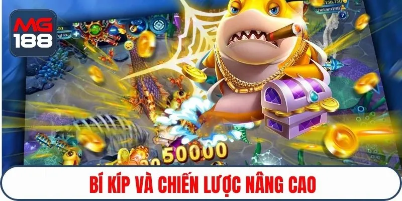 Bí kíp và chiến lược nâng cao