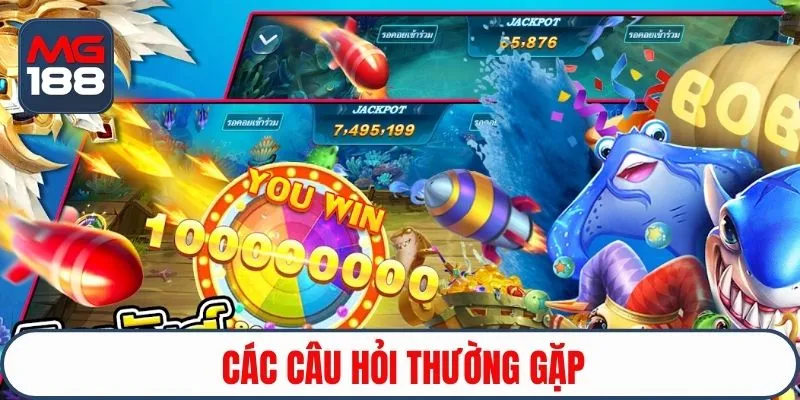 Các câu hỏi thường gặp