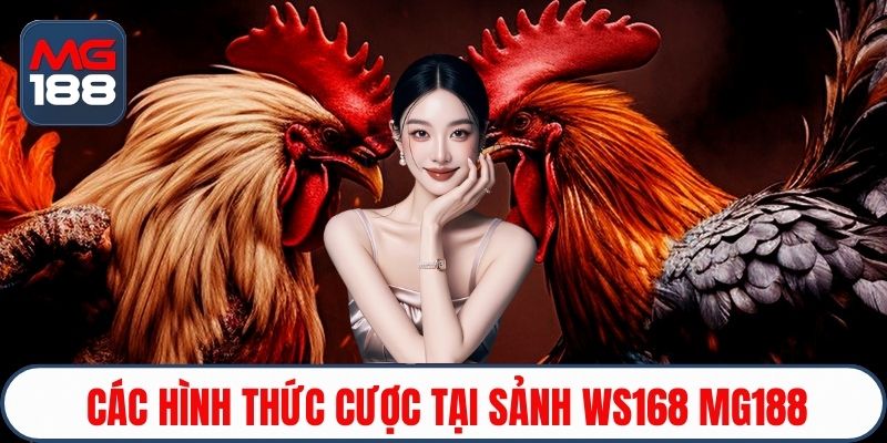 Các hình thức cược tại sảnh WS168 MG188