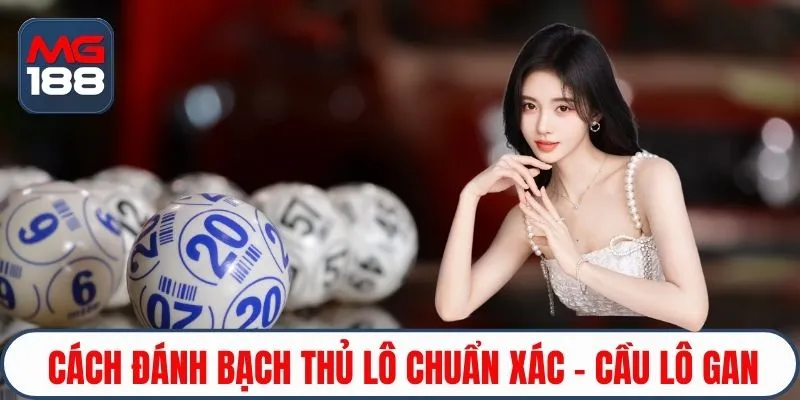 Cách đánh bạch thủ lô chuẩn xác - cầu lô gan