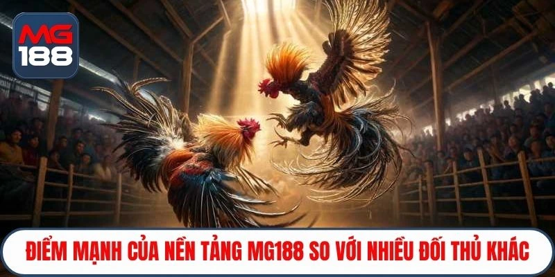 Điểm mạnh của nền tảng MG188 so với nhiều đối thủ khác