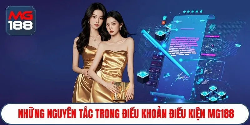 Những nguyên tắc trong điều khoản điều kiện Mg188