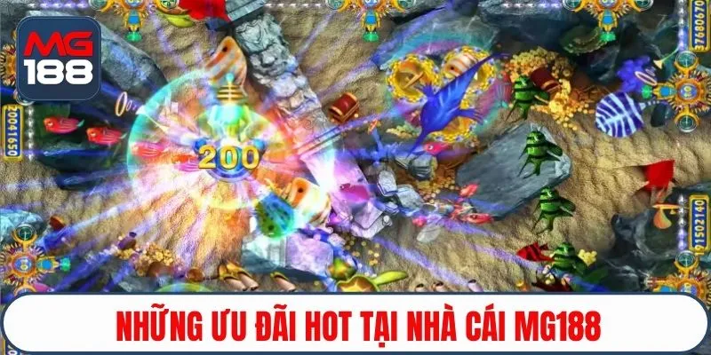 Những ưu đãi hot tại nhà cái MG188