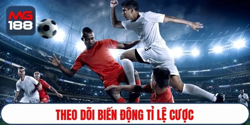 Theo dõi biến động tỷ lệ cược