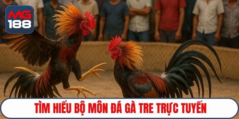Tìm hiểu bộ môn đá gà tre trực tuyến