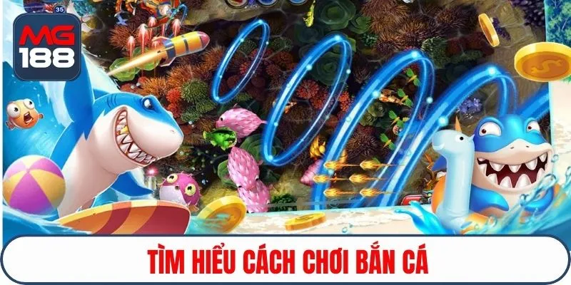Tìm hiểu cách chơi bắn cá