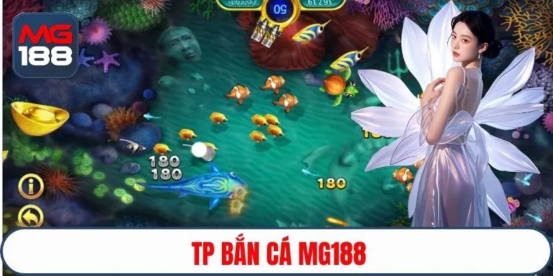 Những ưu đãi hot tại nhà cái MG188