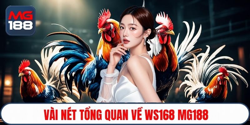 Vài nét tổng quan về WS168 MG188